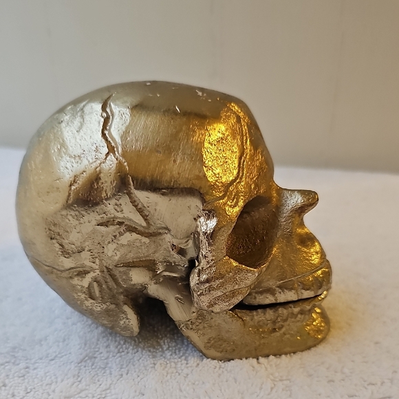 New Shiny Gold Skull with Hallowed Out Center Halloween Decor 3"x3" - Picture 3 of 12